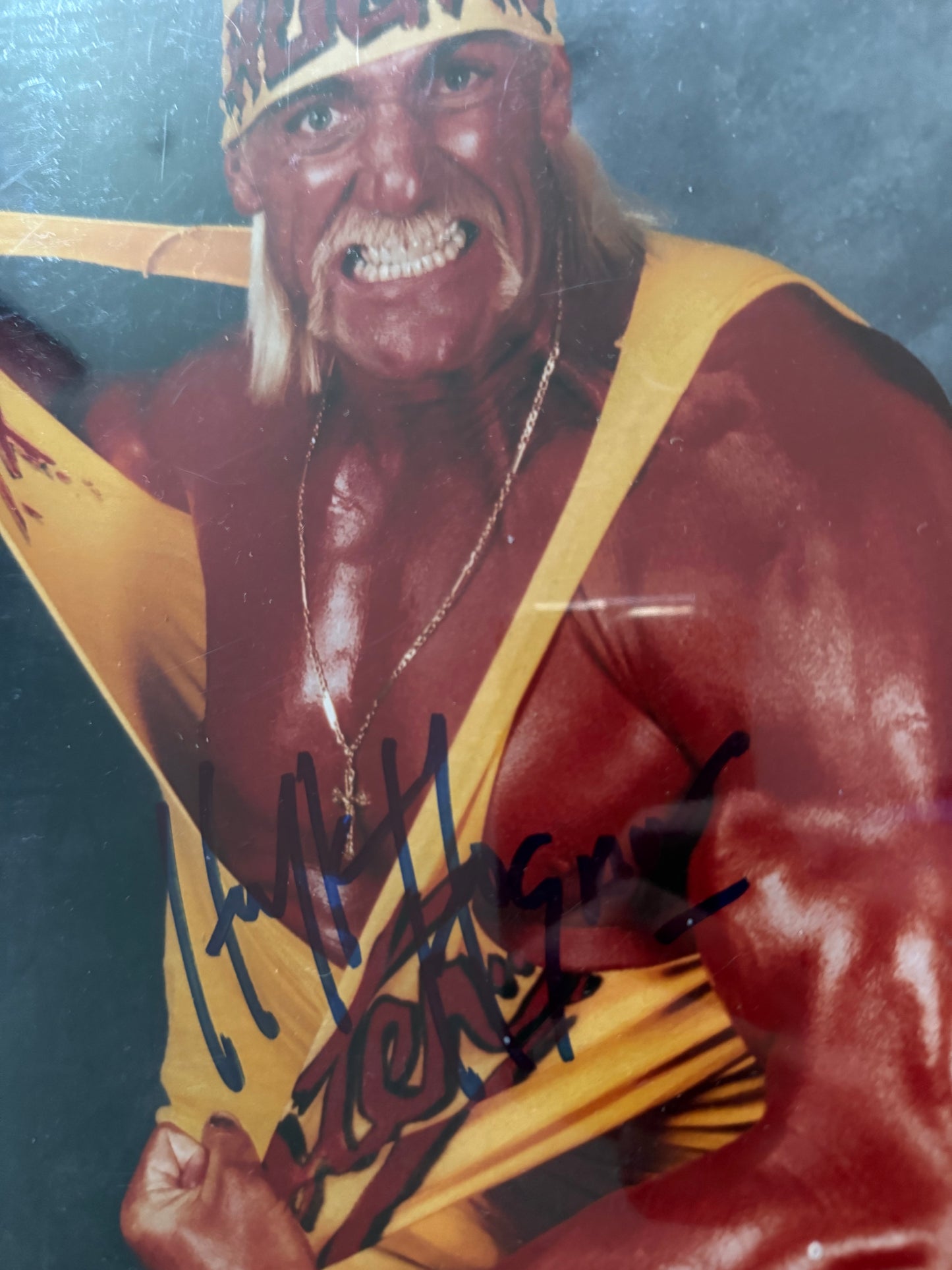 Signed WWE Hulk Hogan WCW Promo Photo