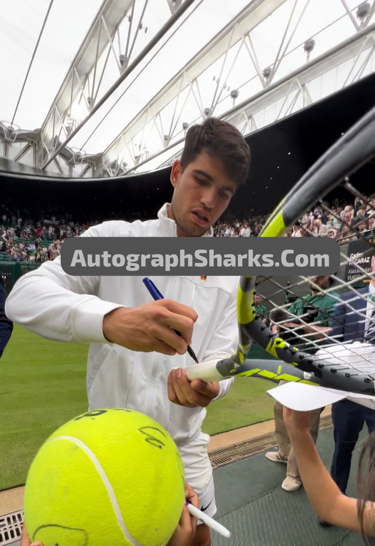 Signed Carlos Alcaraz Babolat Courtside Bundle