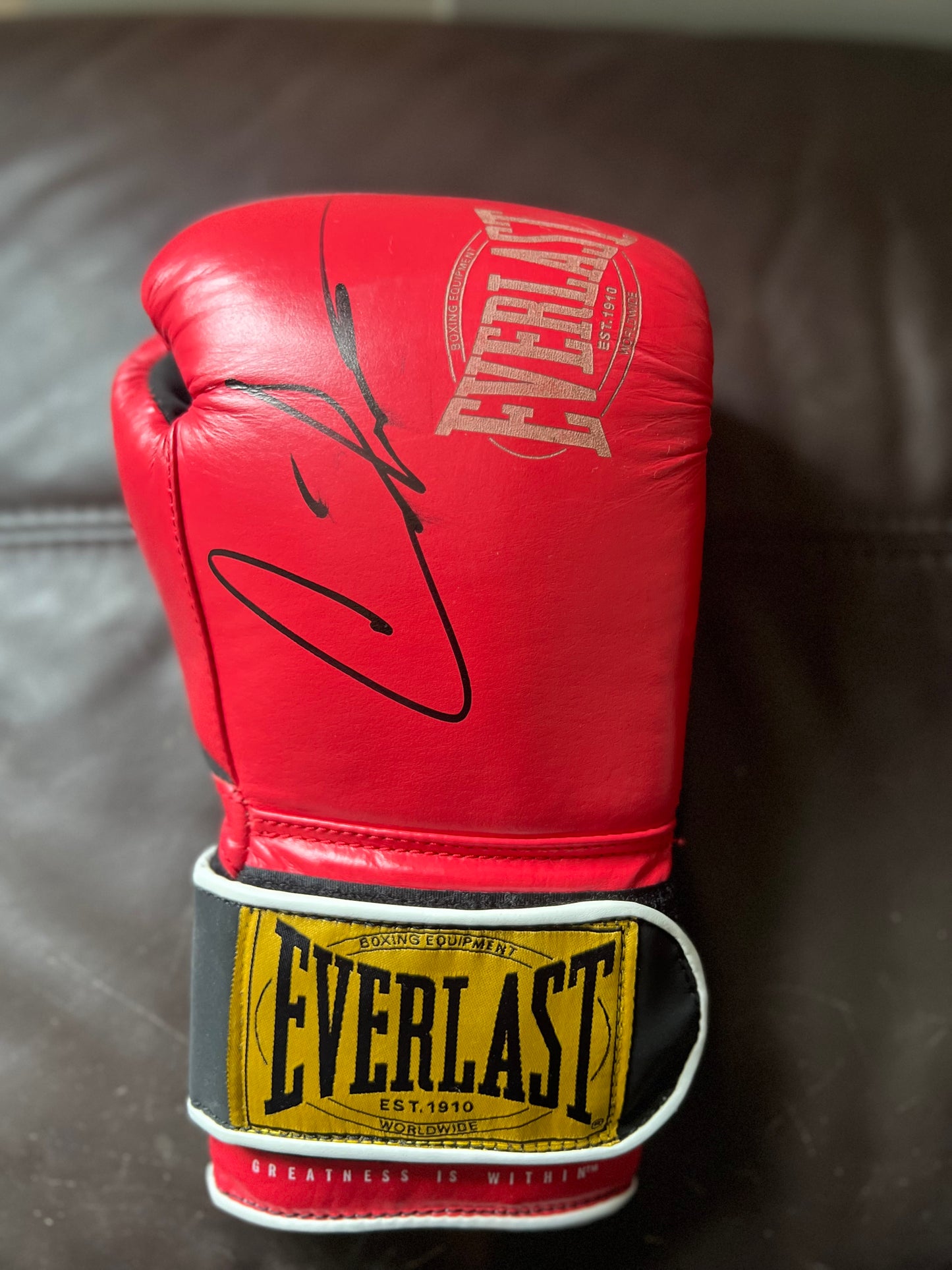 Signed Artur Beterbiev Red Everlast Boxing Glove